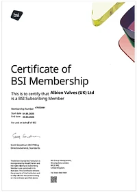 BSI
