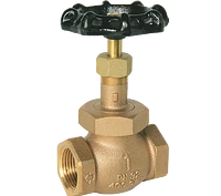 Globe Valves