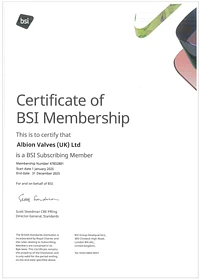 BSI